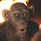 Bad-Ape's Avatar'