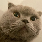 slayer11121314's Avatar'