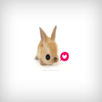 ModeratoBoy's Avatar'