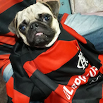 OreiaSeca23's Avatar'