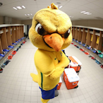 Freitas8k09's Avatar'