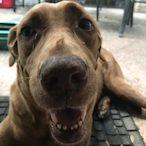 CUPOFJOE32's Avatar'