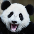 MyEyesNoOpenYet's Avatar'