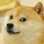 SamTheNoodleMan's Avatar'