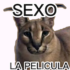 PapoteMaloton's Avatar'