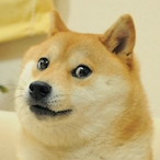 irscdsmms1's Avatar'