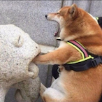 Anniesreid's Avatar'