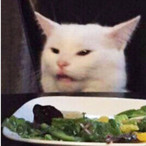 Cat.........'s Avatar'