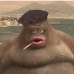 Monke22's Avatar'