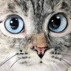 Do_La_A_Meng's Avatar'