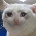 sajtimester's Avatar'