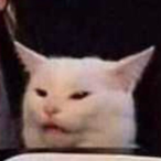 teksavvyisbest's Avatar'