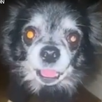 Kill.exe_'s Avatar'