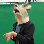 FaZe_Flamingo's Avatar'