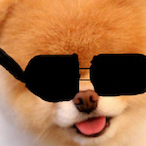 Zxkzj's Avatar'