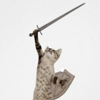 NymZEEs's Avatar'