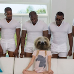 StepSloth.'s Avatar'