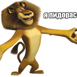Fokin_Ash