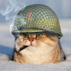 HigginsBesty's Avatar'