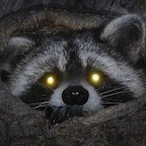 r_a_c_o_n's Avatar'
