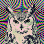 Akzva's Avatar'