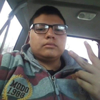 SaffronSquid512's Avatar'