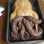 CumCollecor's Avatar'