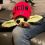OX_Harvey23's Avatar'