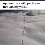 Survivor-20DiII's Avatar'