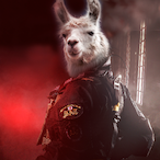 Staf.HansLlama's Avatar'