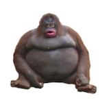 lil_uhoh's Avatar'
