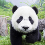 JJGETTOIT's Avatar'