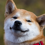 KingAtNight's Avatar'