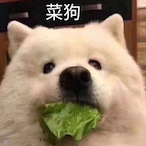 XiaoMoGu99's Avatar'