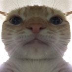 Slp-Du94Sur-_PP's Avatar'