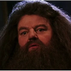 Papou_Insalubre's Avatar'