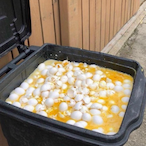 Fermentedeggs's Avatar'