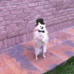 Goonin2yhu's Avatar'