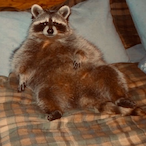 Alex_Jones_-'s Avatar'