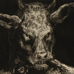 Deathinotaur's Avatar'