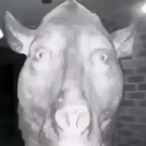 ChrisBiceps's Avatar