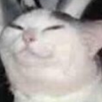 KVLVKI's Avatar'