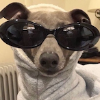 StreetRunner_'s Avatar'