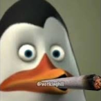 Kowalski_noted's Avatar'