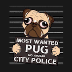 Veteran_Jani's Avatar'