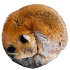 ThePotatoLies's Avatar'