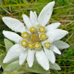 WhosInParisN's Avatar'