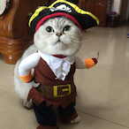 InfinityStrayk05's Avatar'