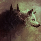 Kev_LoneWolf's Avatar'