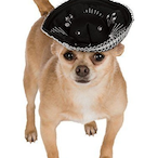 BijuuTwo's Avatar'